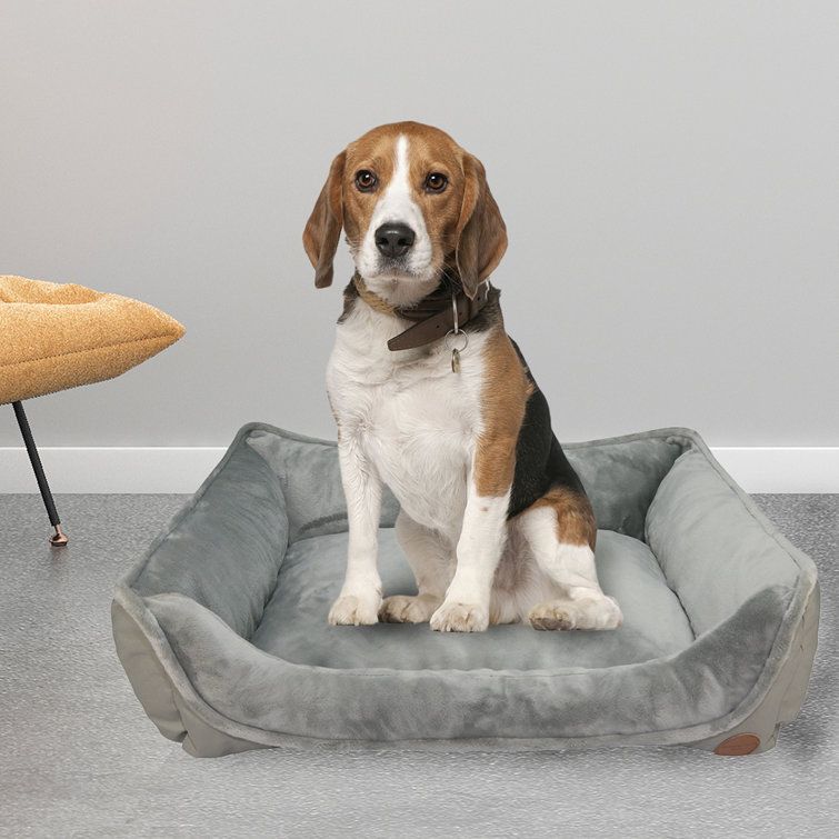 Super soft dog store bed